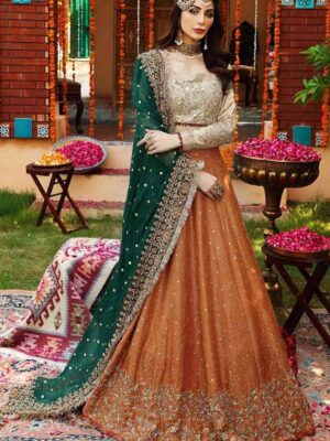 Ayesha Imran Bridal Maxi Ruedad E Sahr-A Ravishing